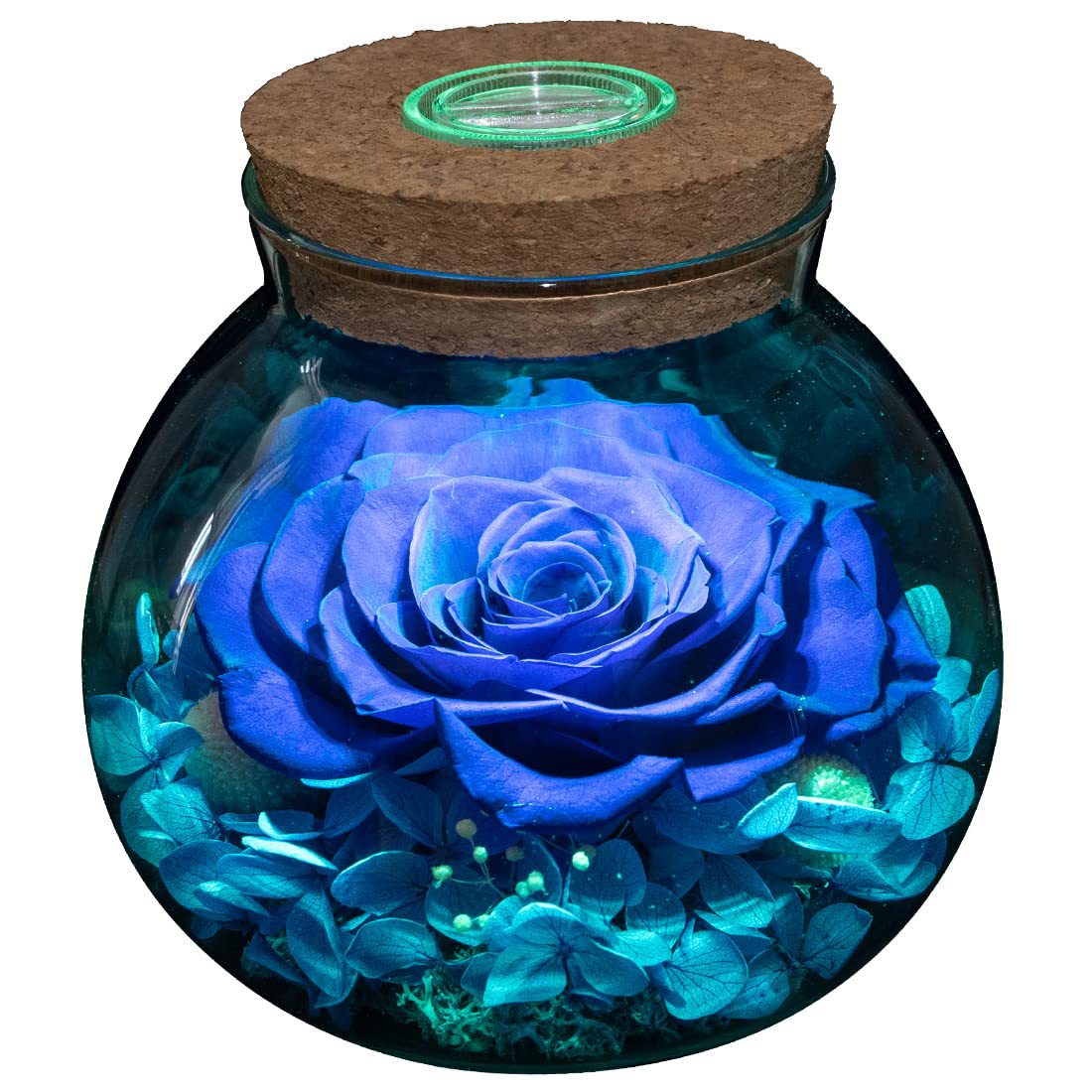 Preserved Real Roses with Colorful Mood Light Wishing Bottle