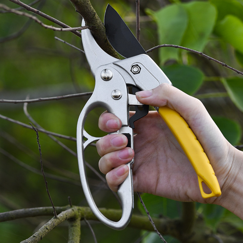 Garden Scissors: An Essential Assistant for Creating Beautiful Gardens